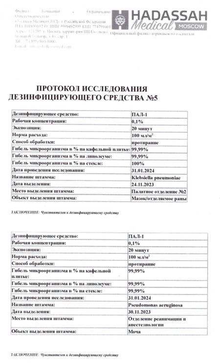 ПАЛ1